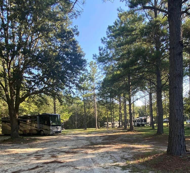 Camper-submitted photo at Shady Pines RV Park near Hazlehurst, GA