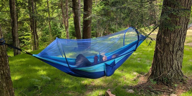 Camper submitted image from Camp Butz