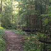 Review photo of Whittleton Campground — Natural Bridge State Resort Park by Barbara L., September 23, 2016