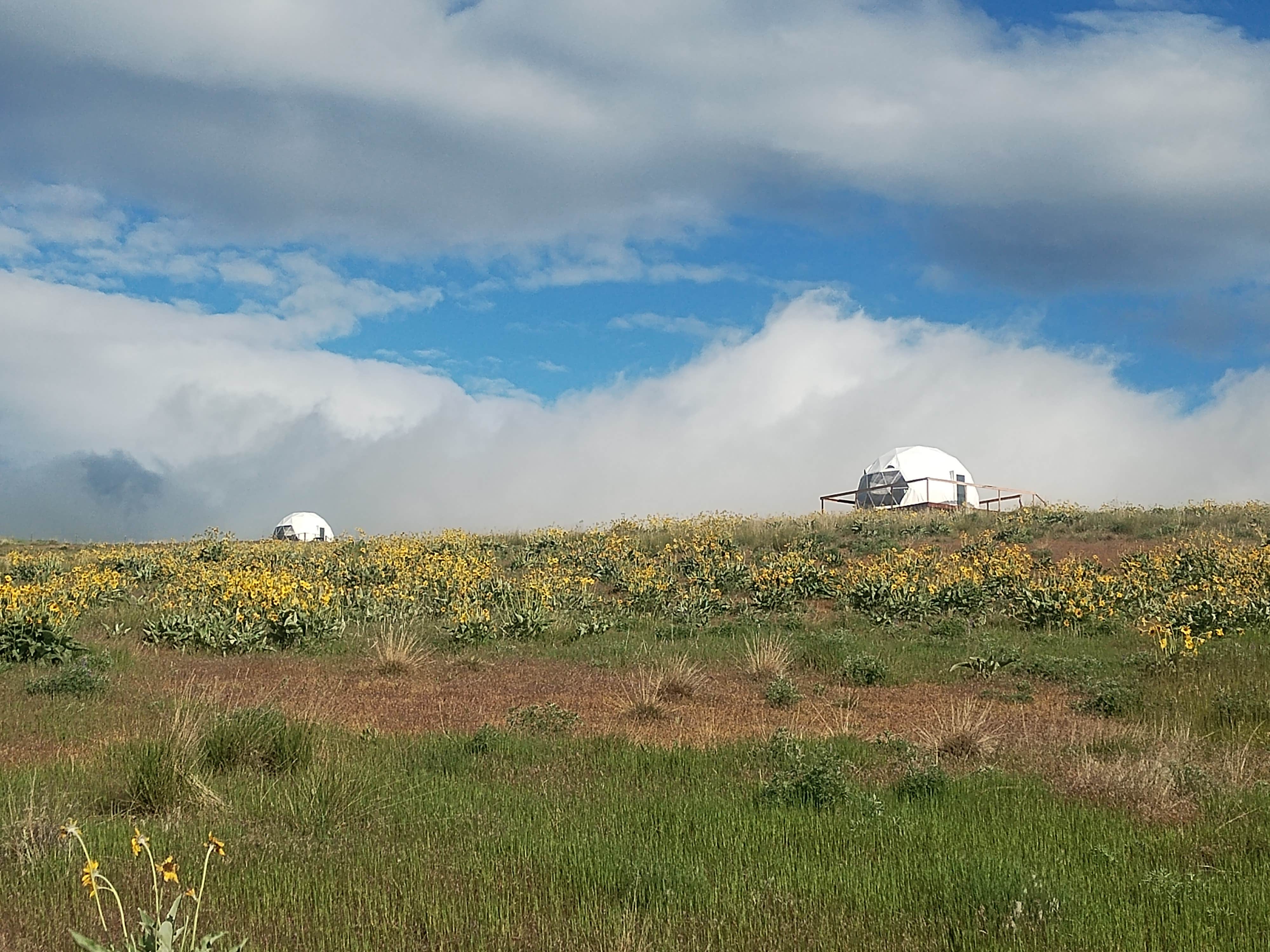 Camper submitted image from Off the Beaten Path Glampground - 1