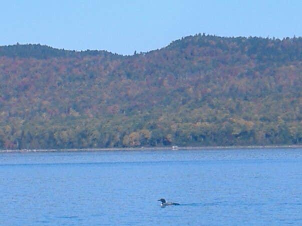 Camper submitted image from Natanis Point Campground - 3