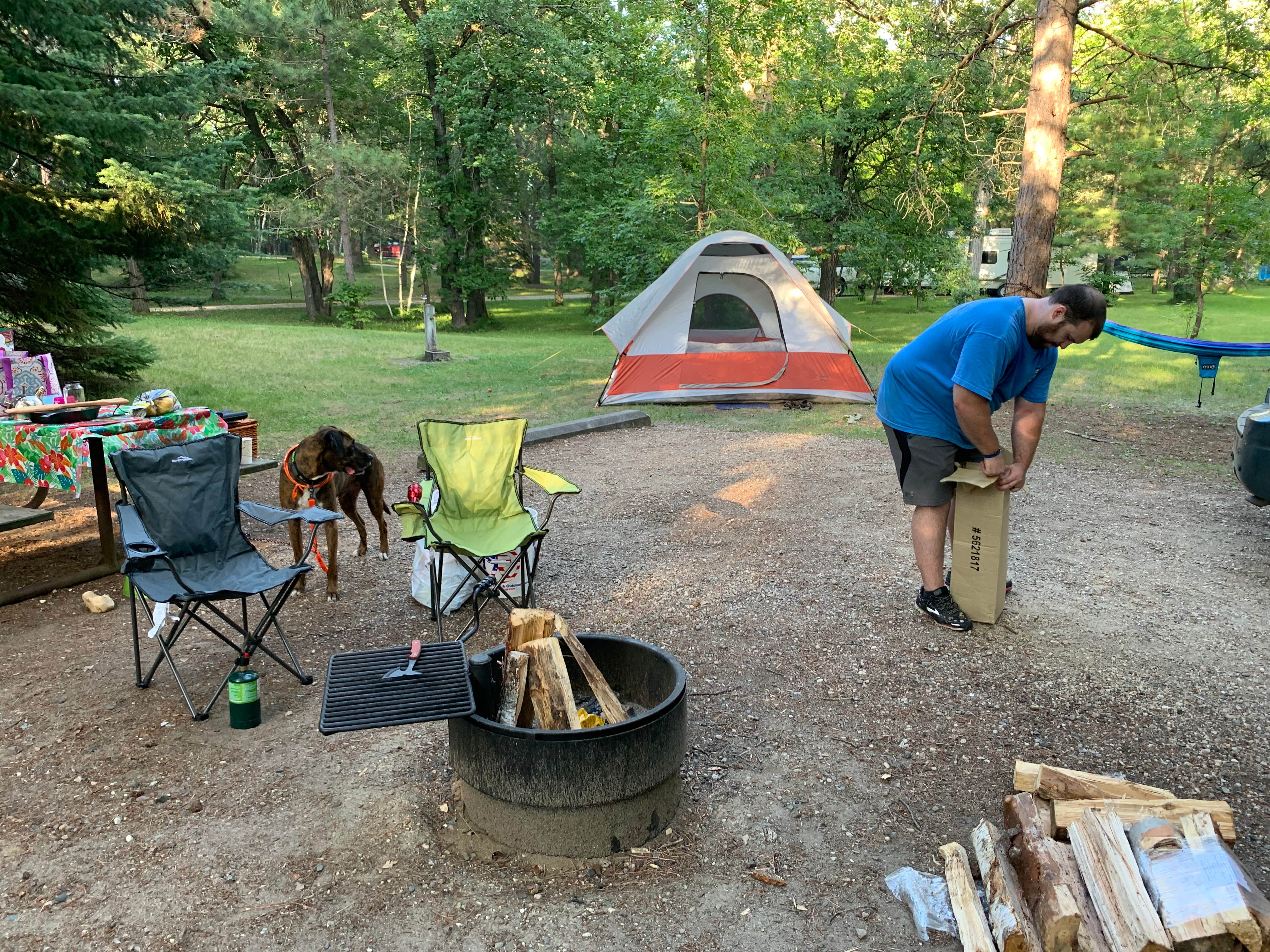 Kara T.'s photo of camping with pets at Lake Bemidji State Park Campground near Bemidji, MN
