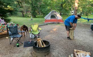 Kara T.'s photo of camping with pets at Lake Bemidji State Park Campground near Bagley, MN