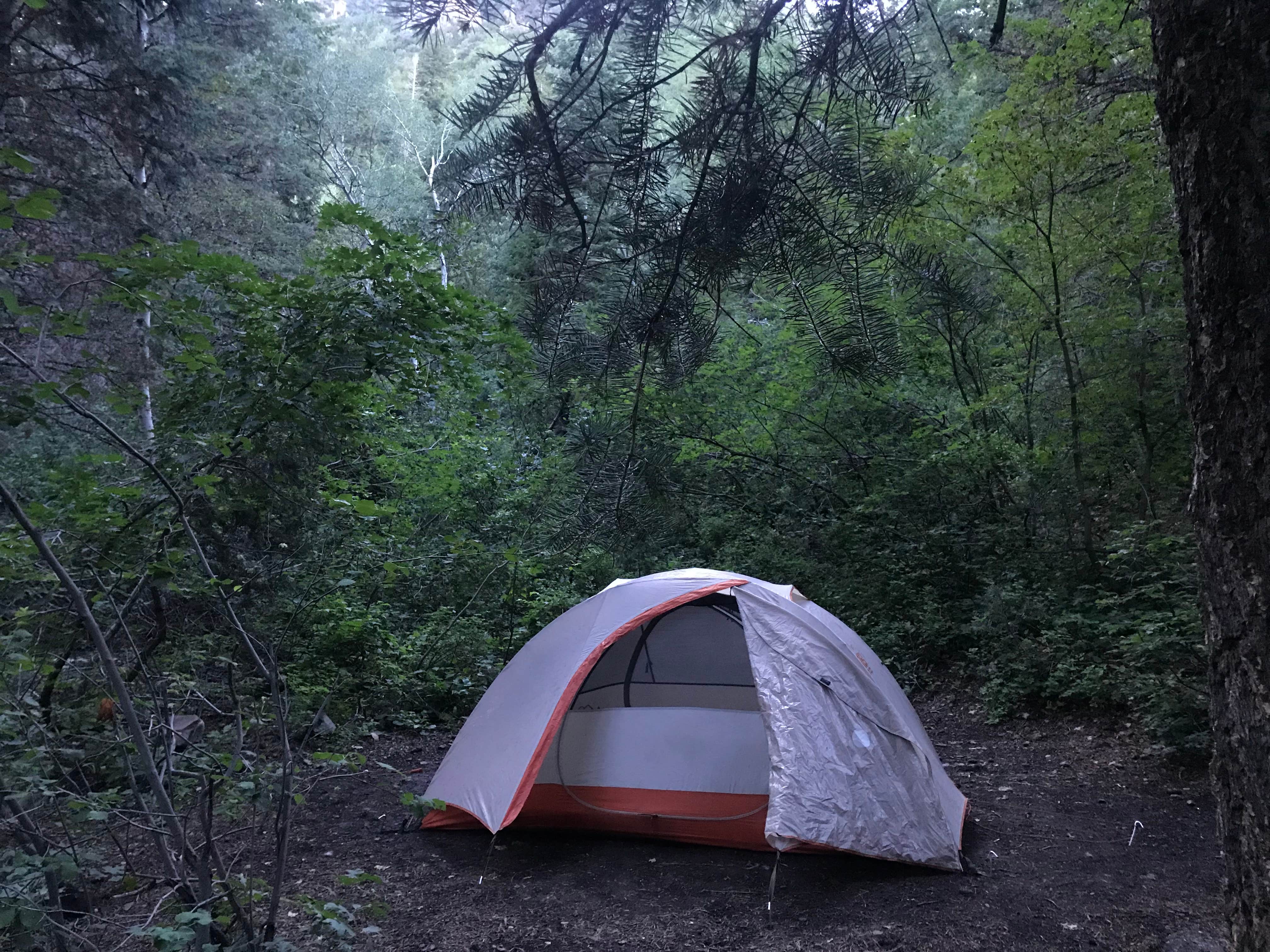 Kaelin P.'s photo at Mt. Timpanogos near Wallsburg, UT