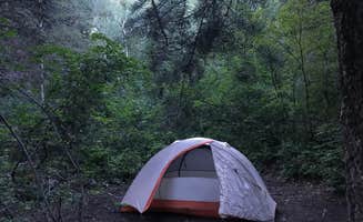 Kaelin P.'s photo at Mt. Timpanogos near American Fork, UT