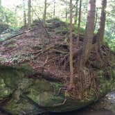 Review photo of Whittleton Campground — Natural Bridge State Resort Park by Barbara L., September 23, 2016