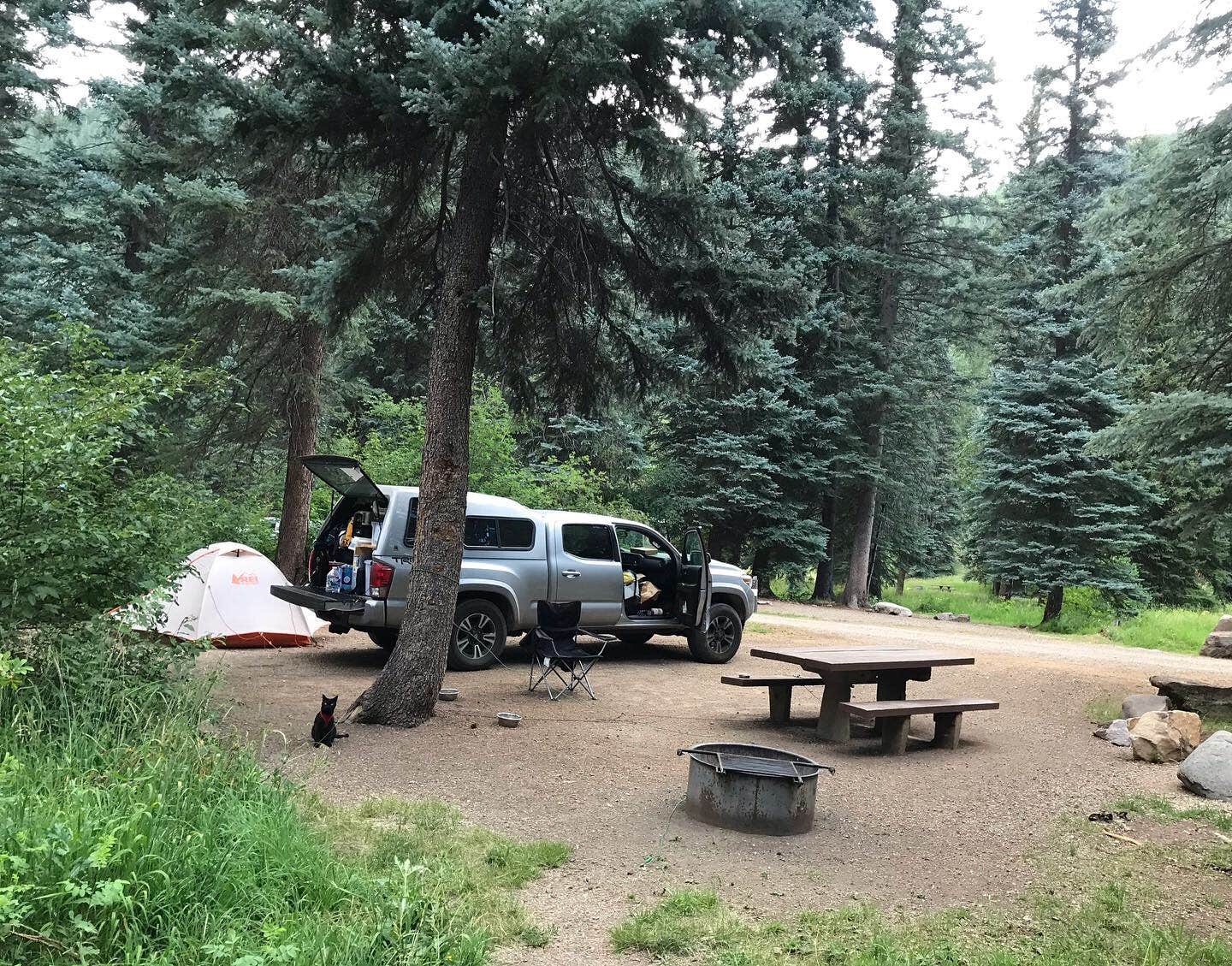 Camper submitted image from West Dolores Campground - 5