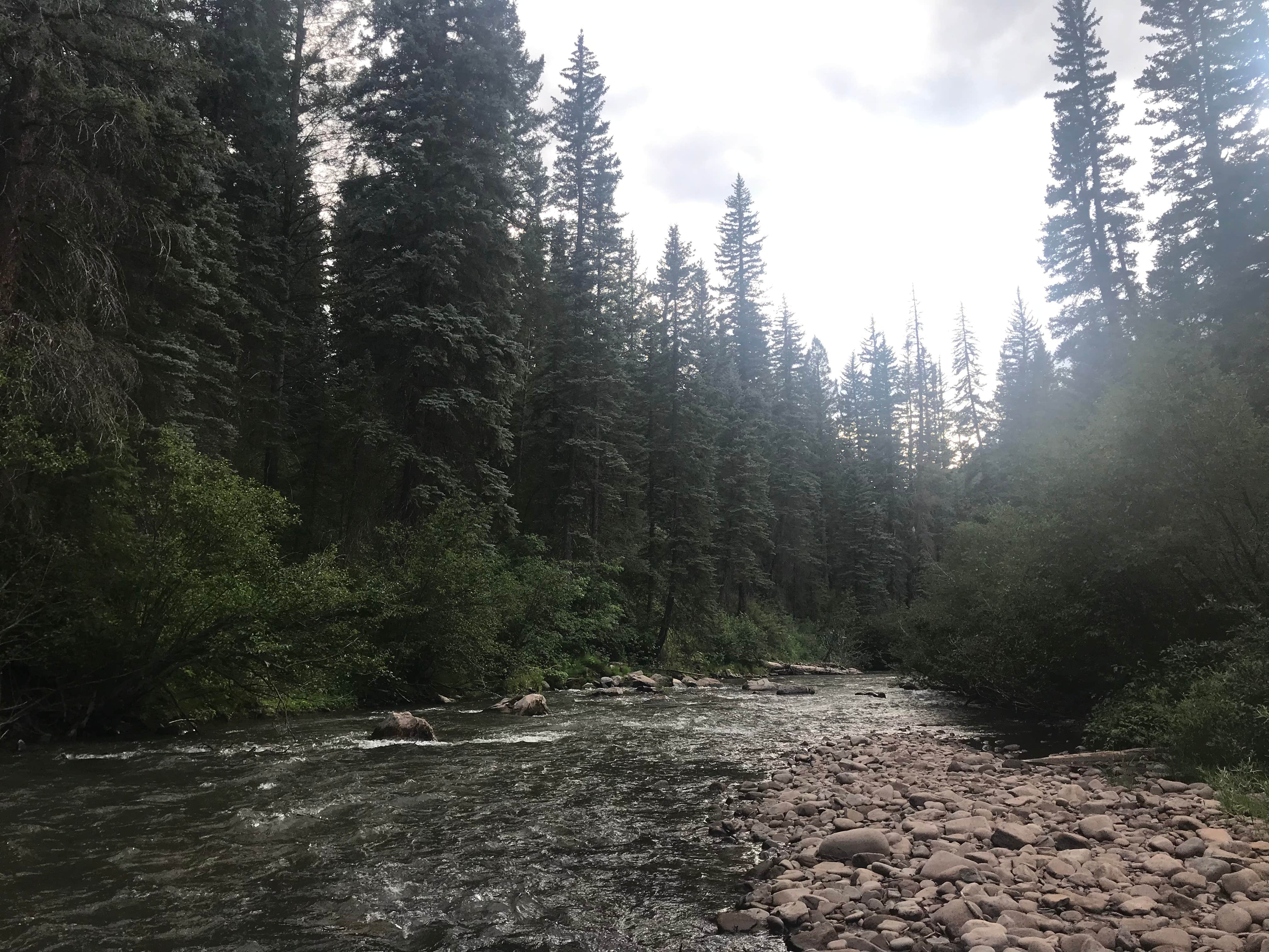 Camper submitted image from West Dolores Campground - 3