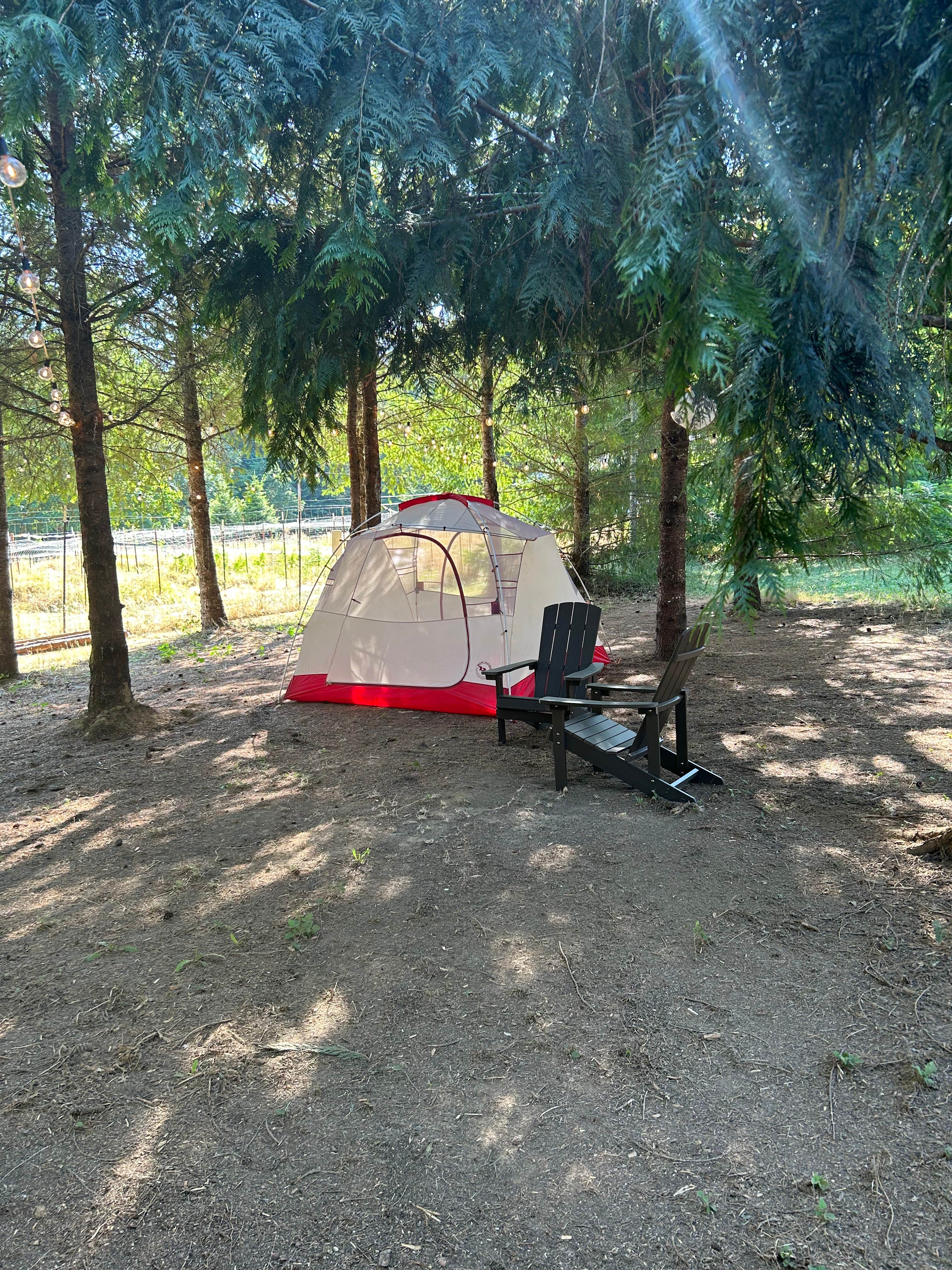 Petra G.'s photo at Fernwood Retreat at Bloom Hill near Blodgett, OR