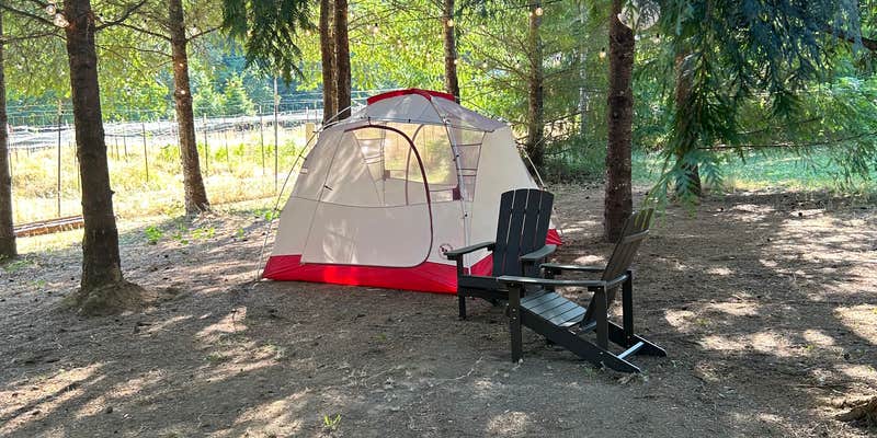 Camper submitted image from Fernwood Retreat at Bloom Hill