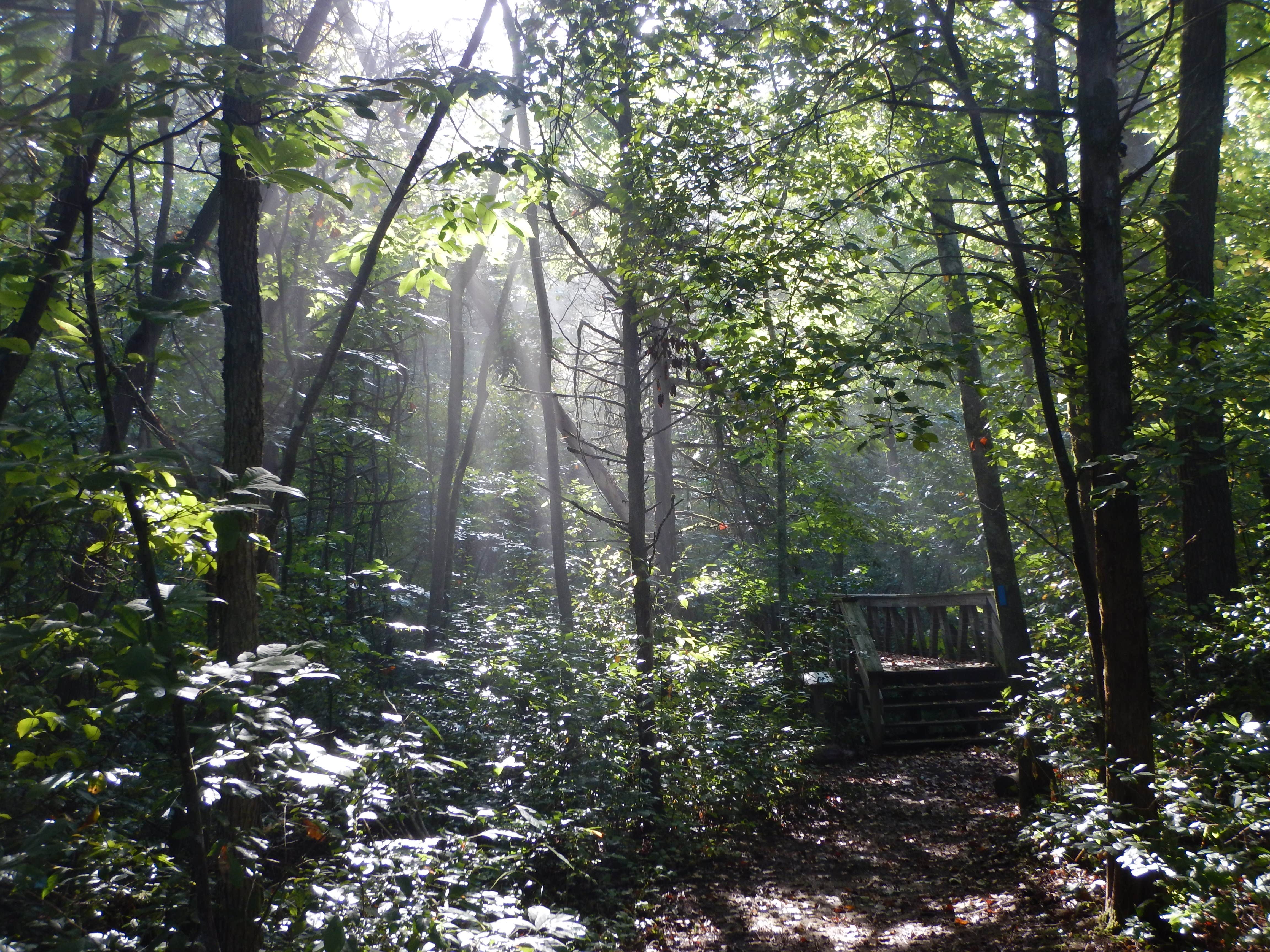 Camper submitted image from Ozark Natural Science Center - 1