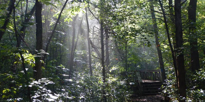 Camper submitted image from Ozark Natural Science Center