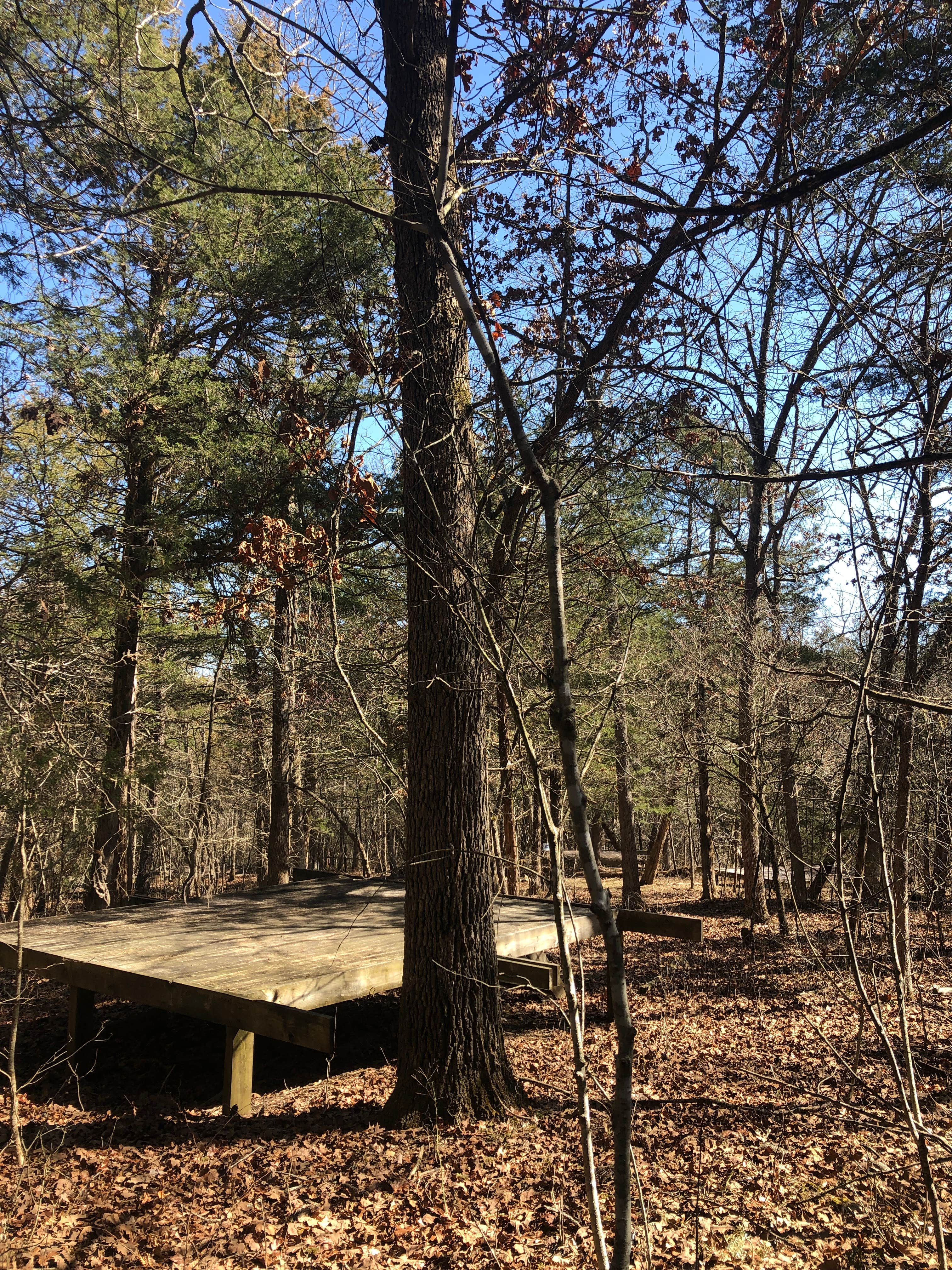 Camper-submitted photo at Ozark Natural Science Center near Rogers, AR