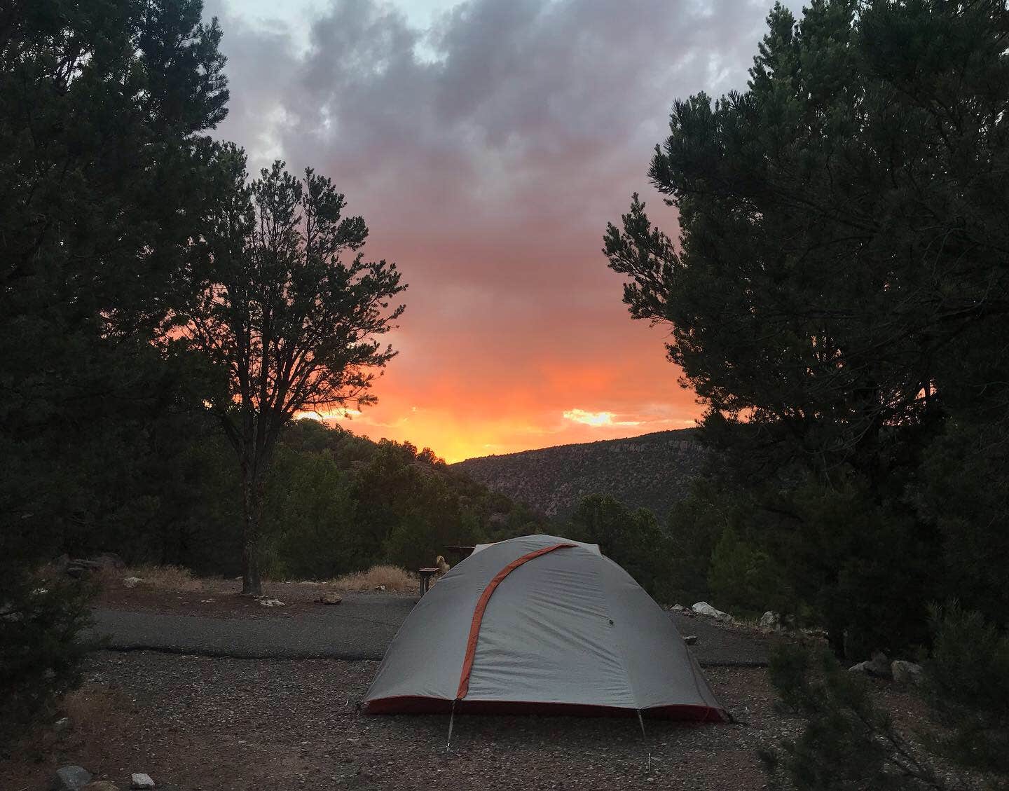 Cedar Springs Campground The Dyrt