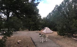 Kaelin P.'s photo of camping with pets at Cedar Springs Campground near Dutch John, UT