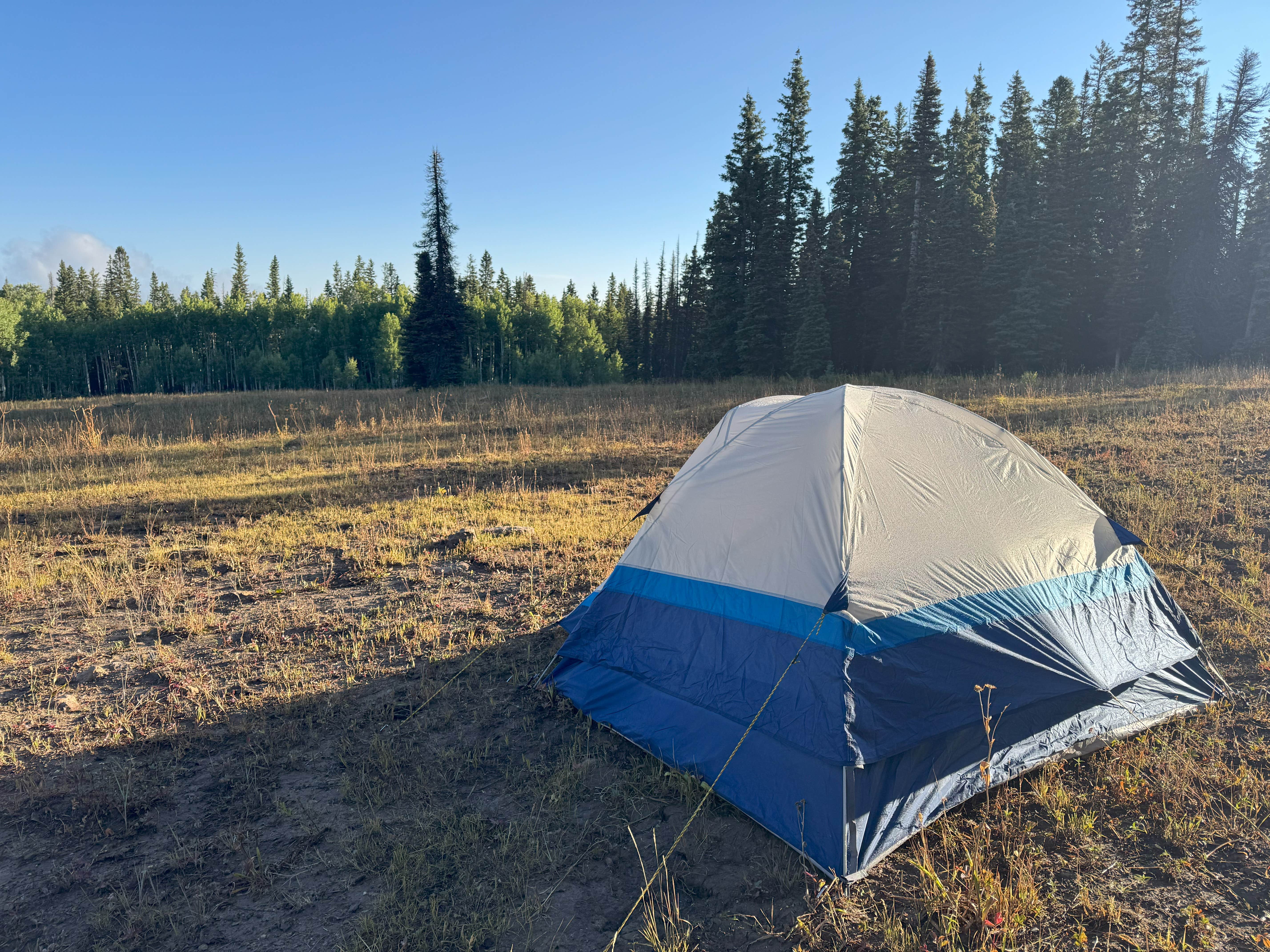 Chris C.'s photo of a dispersed camping area at Four Mile Road Dispersed near Gunnison National Forest