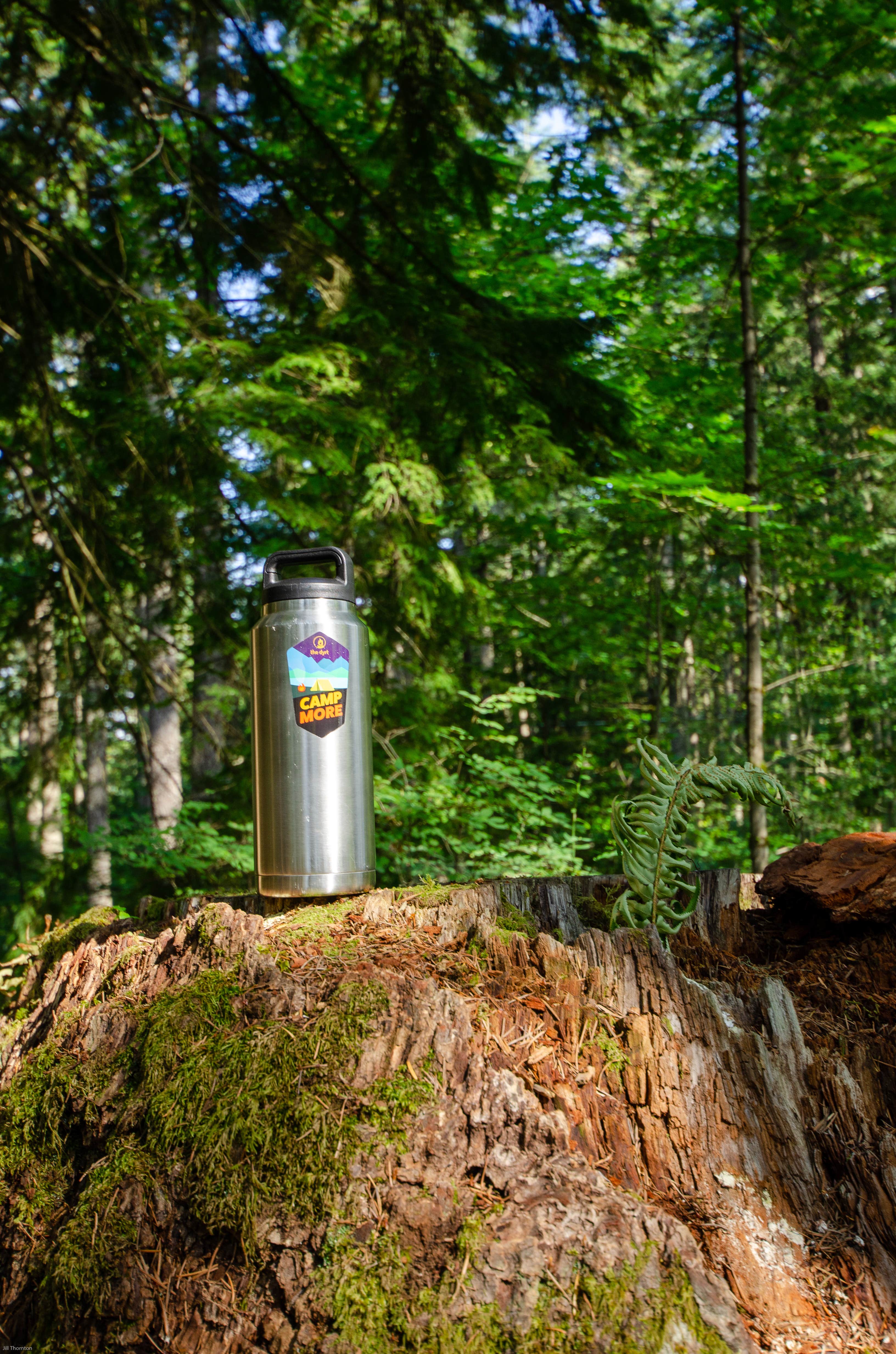 Camper-submitted photo at Promontory Park near Sandy, OR