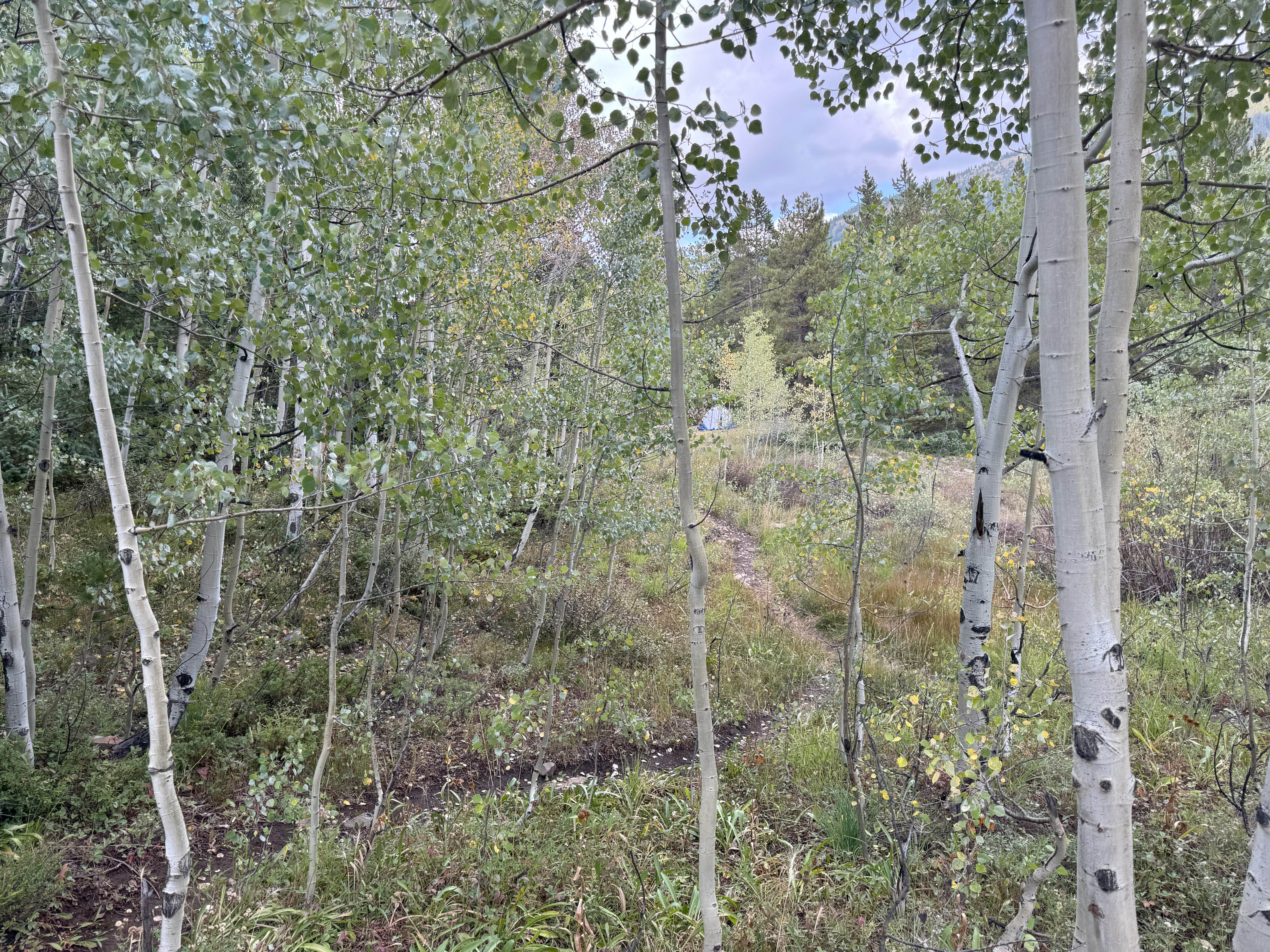 Camper-submitted photo at Pearl Pass Dispersed Camping near Snowmass Village, CO