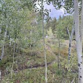 Review photo of Pearl Pass Dispersed Camping by Chris C., September 19, 2025