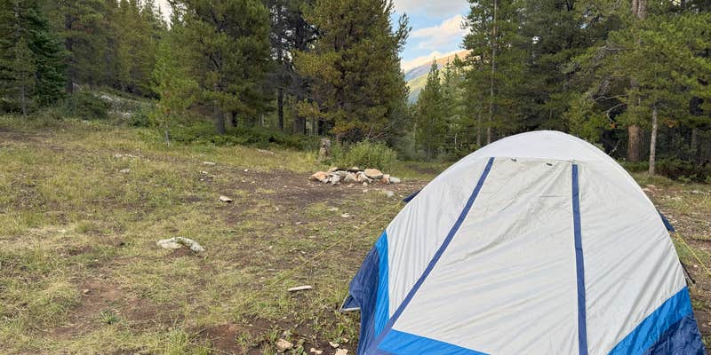 Camper submitted image from Pearl Pass Dispersed Camping