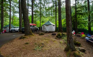 Jill T.'s photo at Promontory Park near Lake Oswego, OR