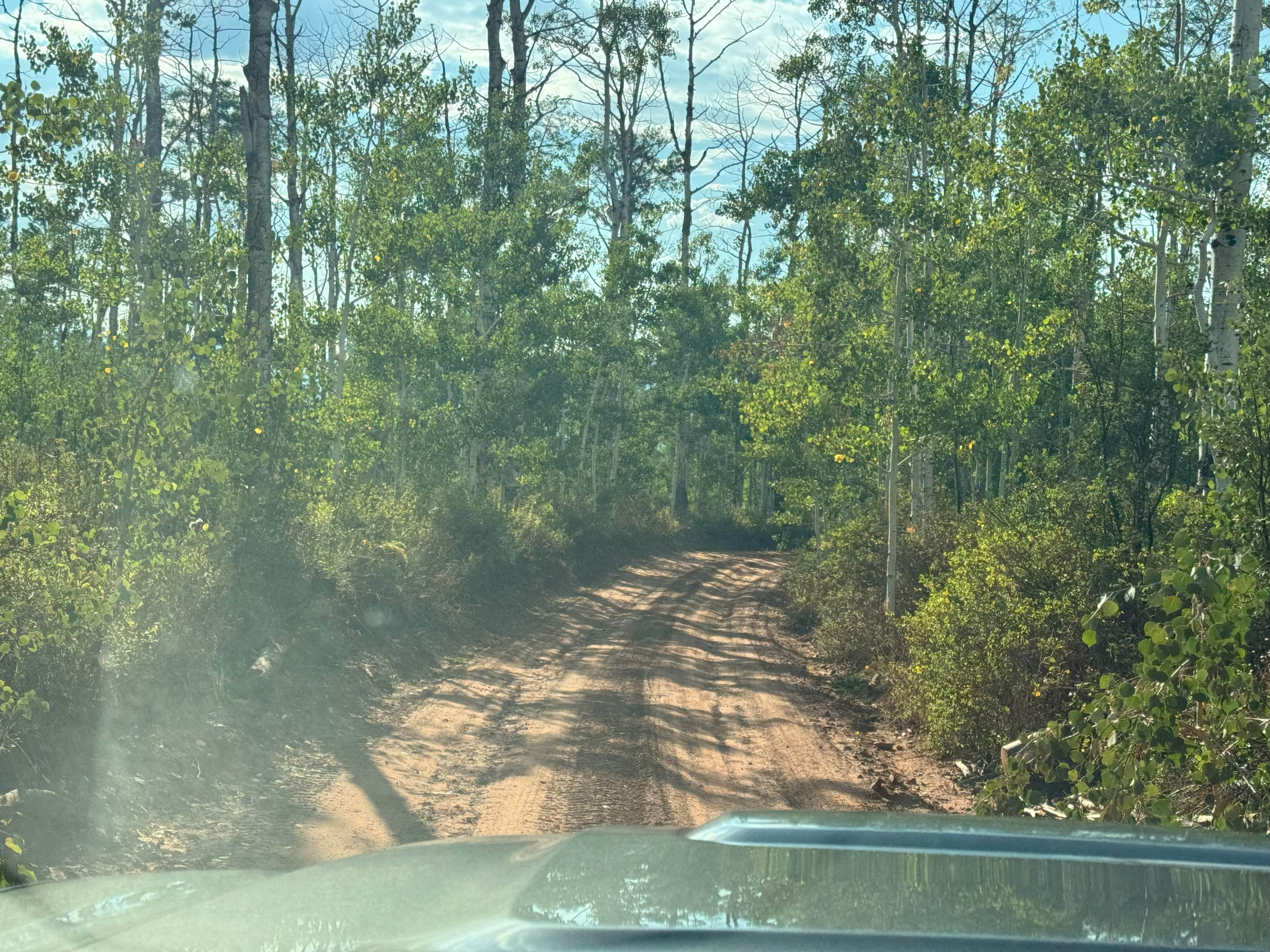 Camper-submitted photo at Red Table Road, White River National Forest near Glenwood Springs, CO