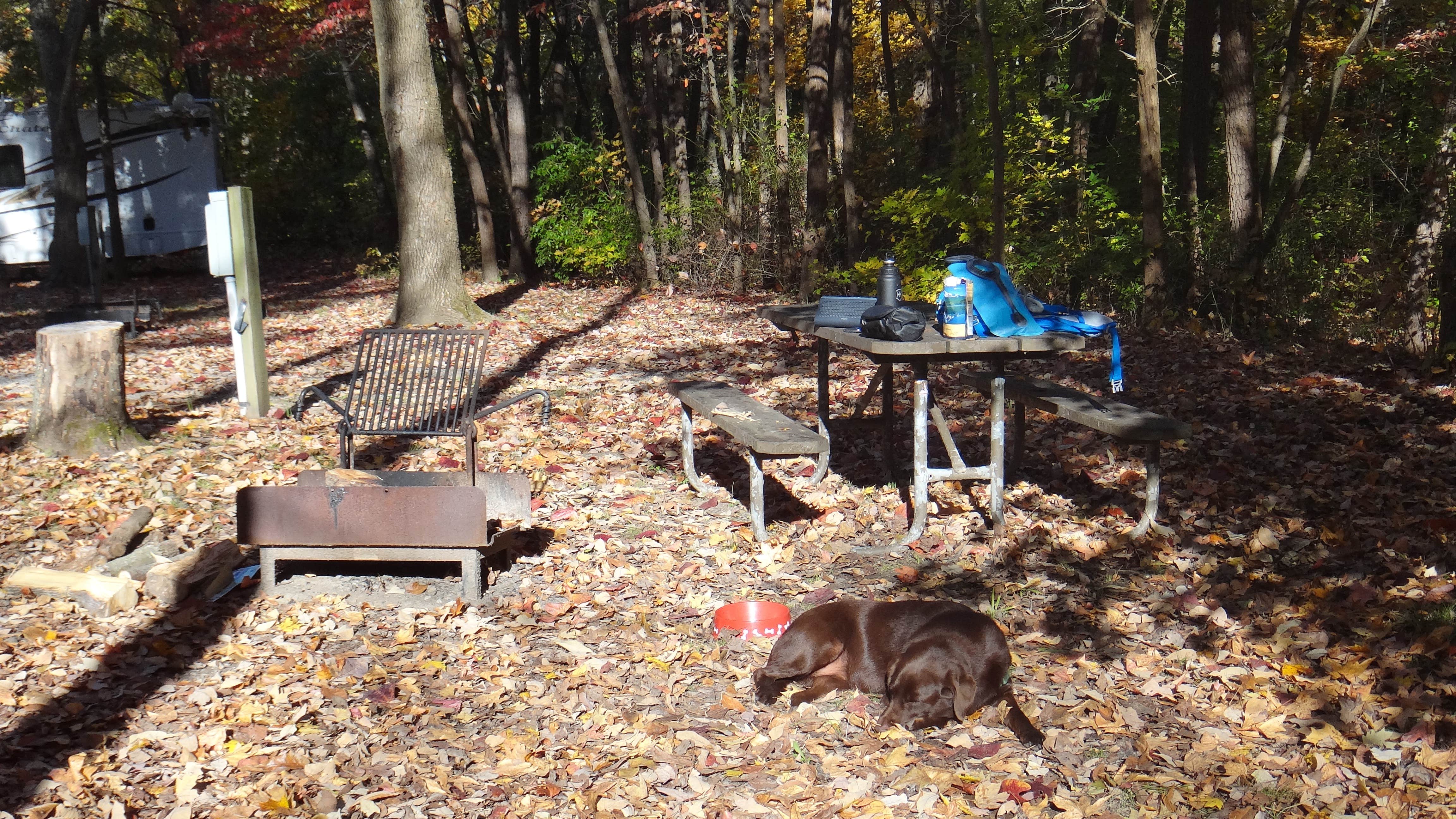 Camper submitted image from Giant City State Park Campground - 3