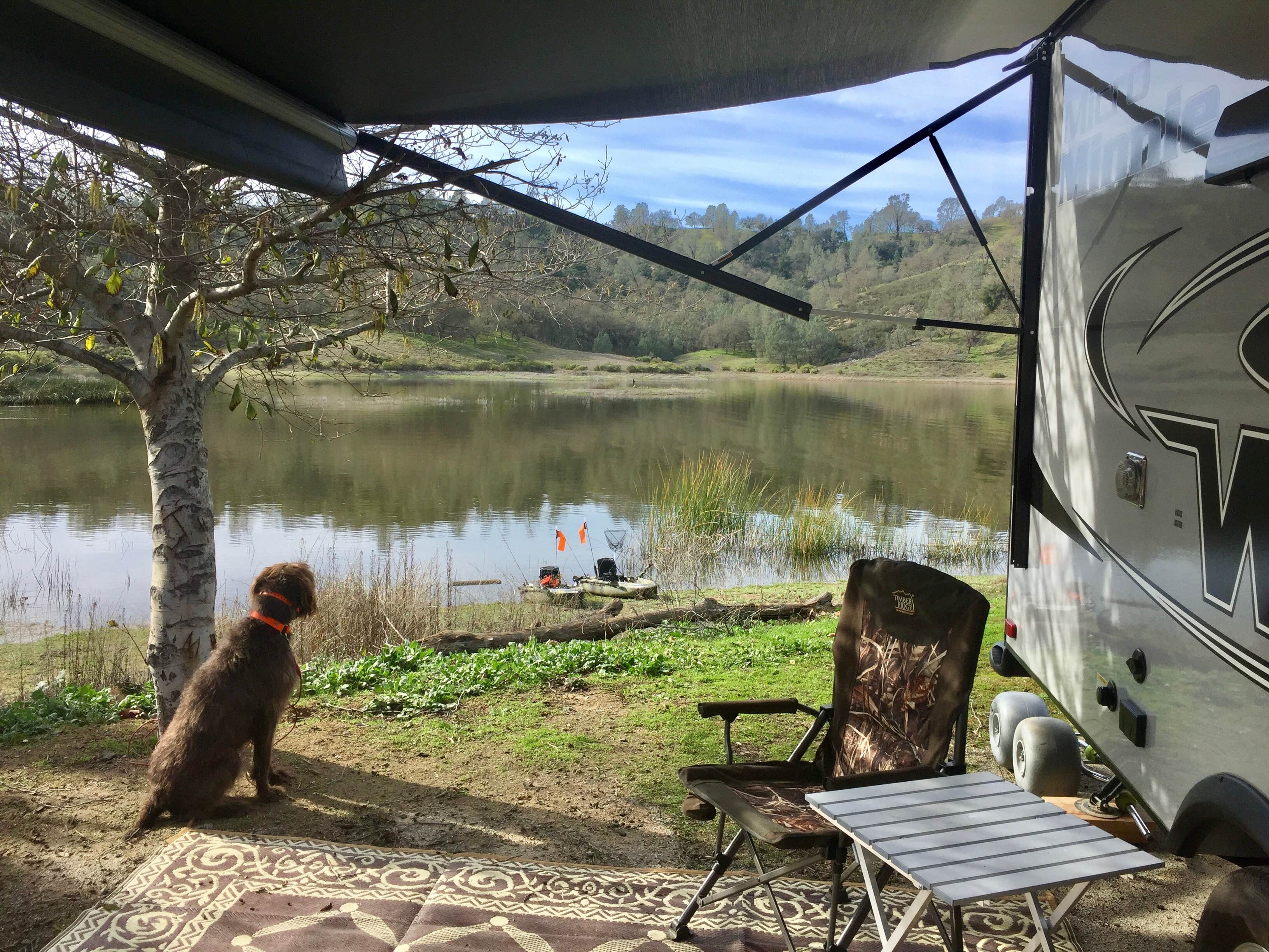 Camper submitted image from Santa Margarita Lake - 1