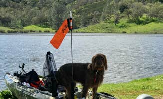 Corey L.'s photo of camping with pets at Santa Margarita Lake near Santa Maria, CA