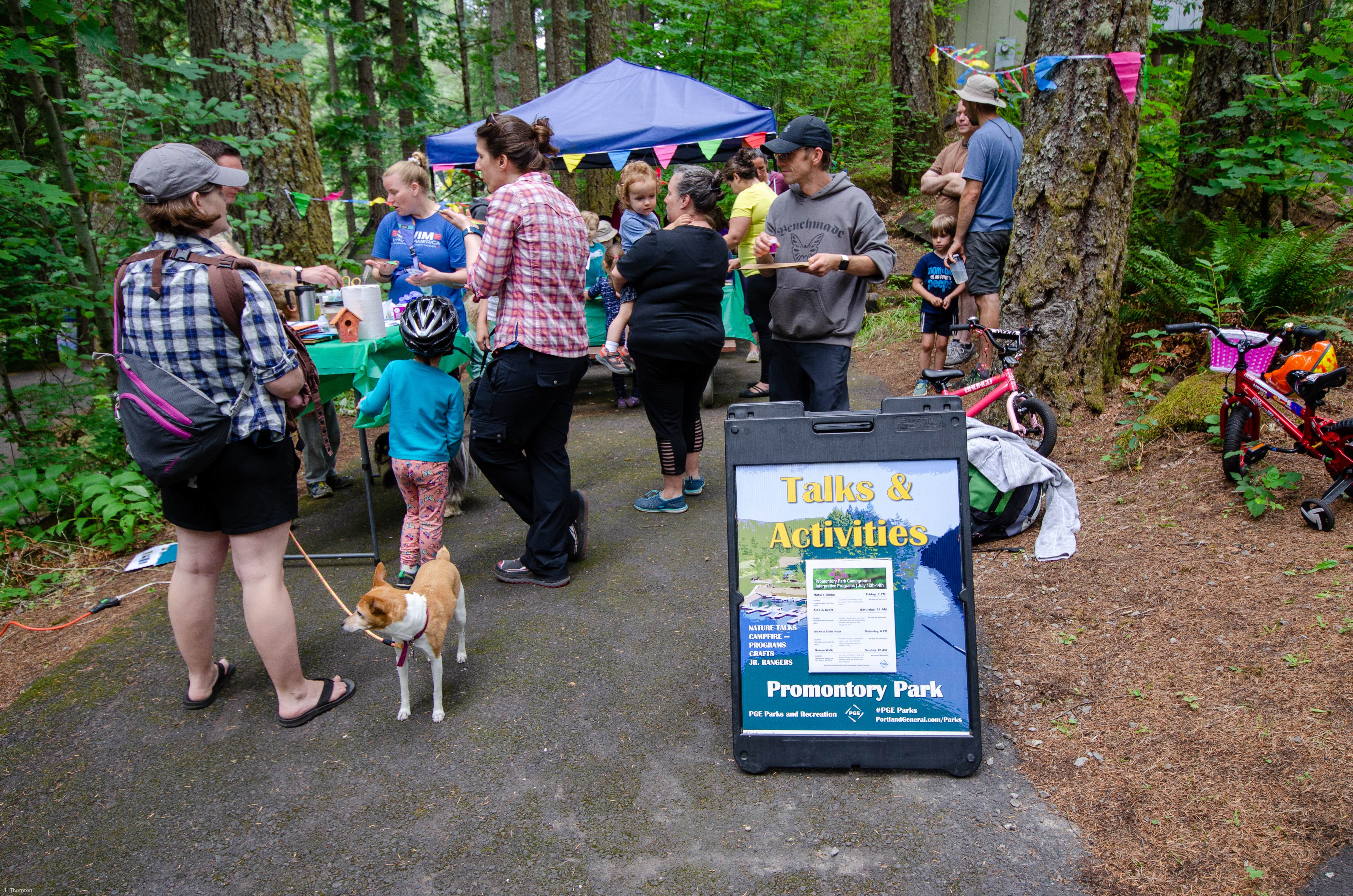 Jill T.'s photo of camping with pets at Promontory Park near Sandy, OR