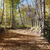 Review photo of Giant City State Park Campground by Daniel  B., September 23, 2016