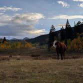 Review photo of Washington Gulch - Dispersed Camping by Philip P., September 21, 2025