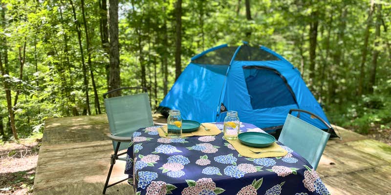 Camper submitted image from Blue Springs Escape