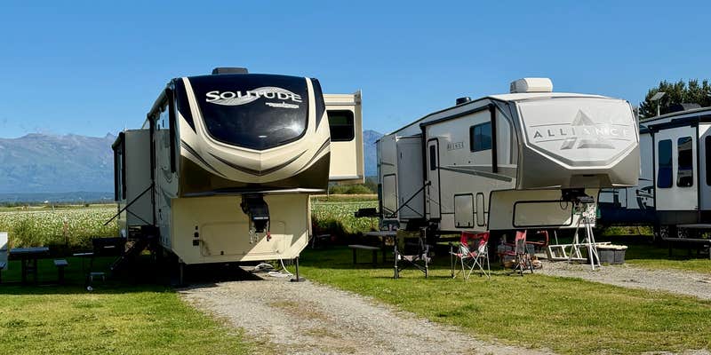 Camper submitted image from The Springer RV Park & Campground