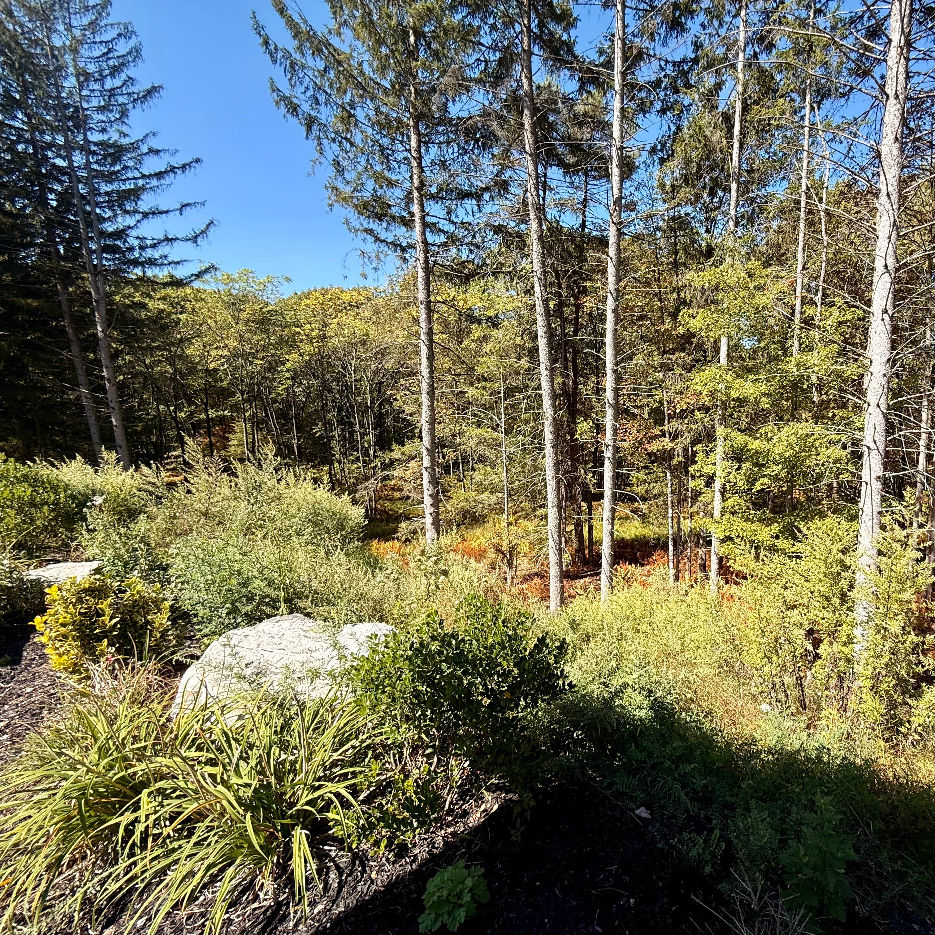 Camper-submitted photo at Stonybrook RV Resort near Slatington, PA