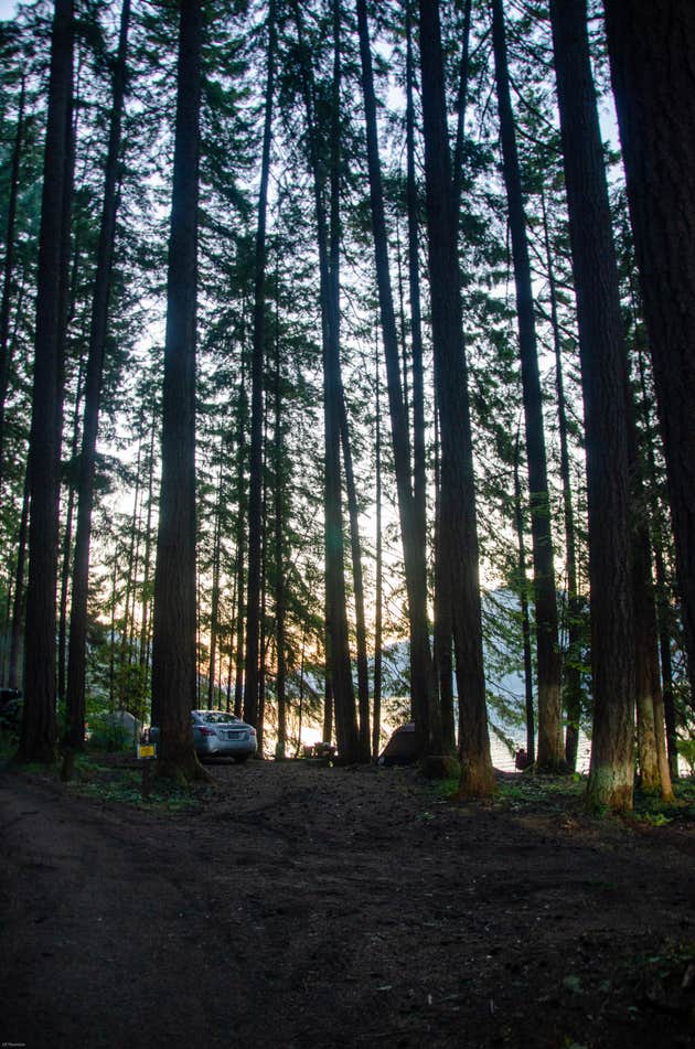 Baker Bay Campgrounds & Marina The Dyrt