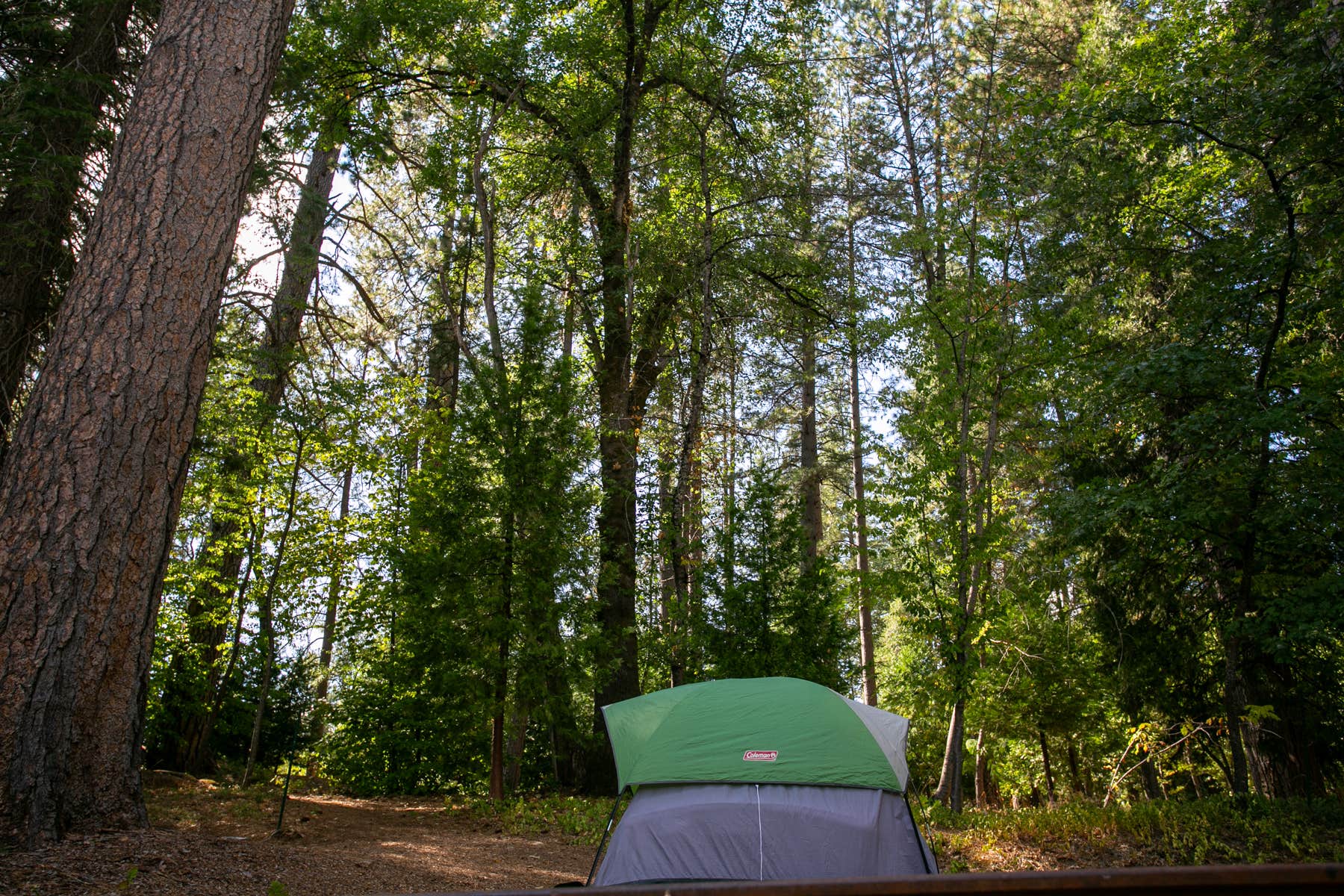 The Dyrt's photo at Inn Town Campground near Rough and Ready, CA