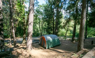 The Dyrt's photo at Inn Town Campground near Gold Run, CA