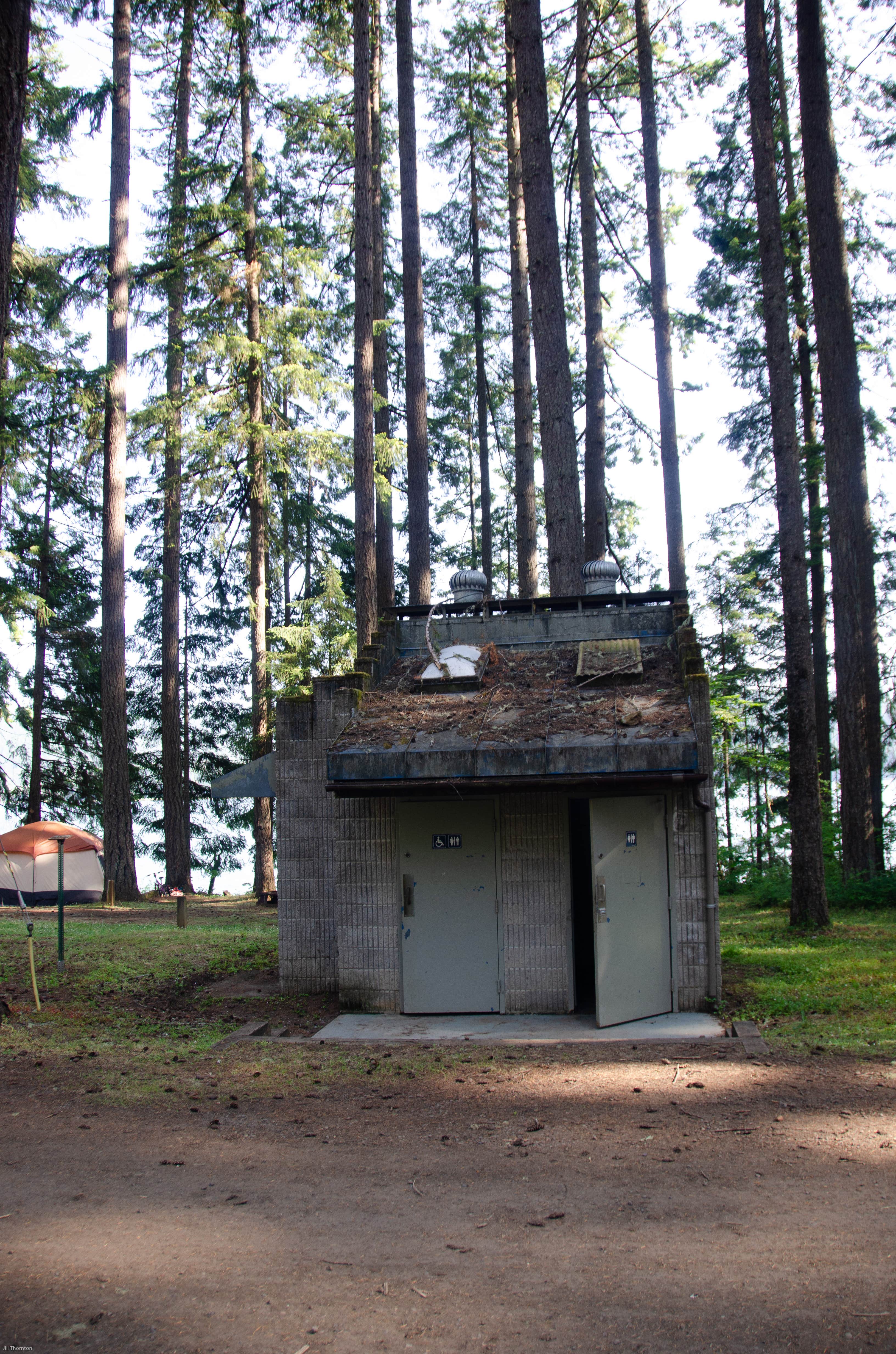 Camper submitted image from Baker Bay Campgrounds & Marina - a Lane County Park - 4