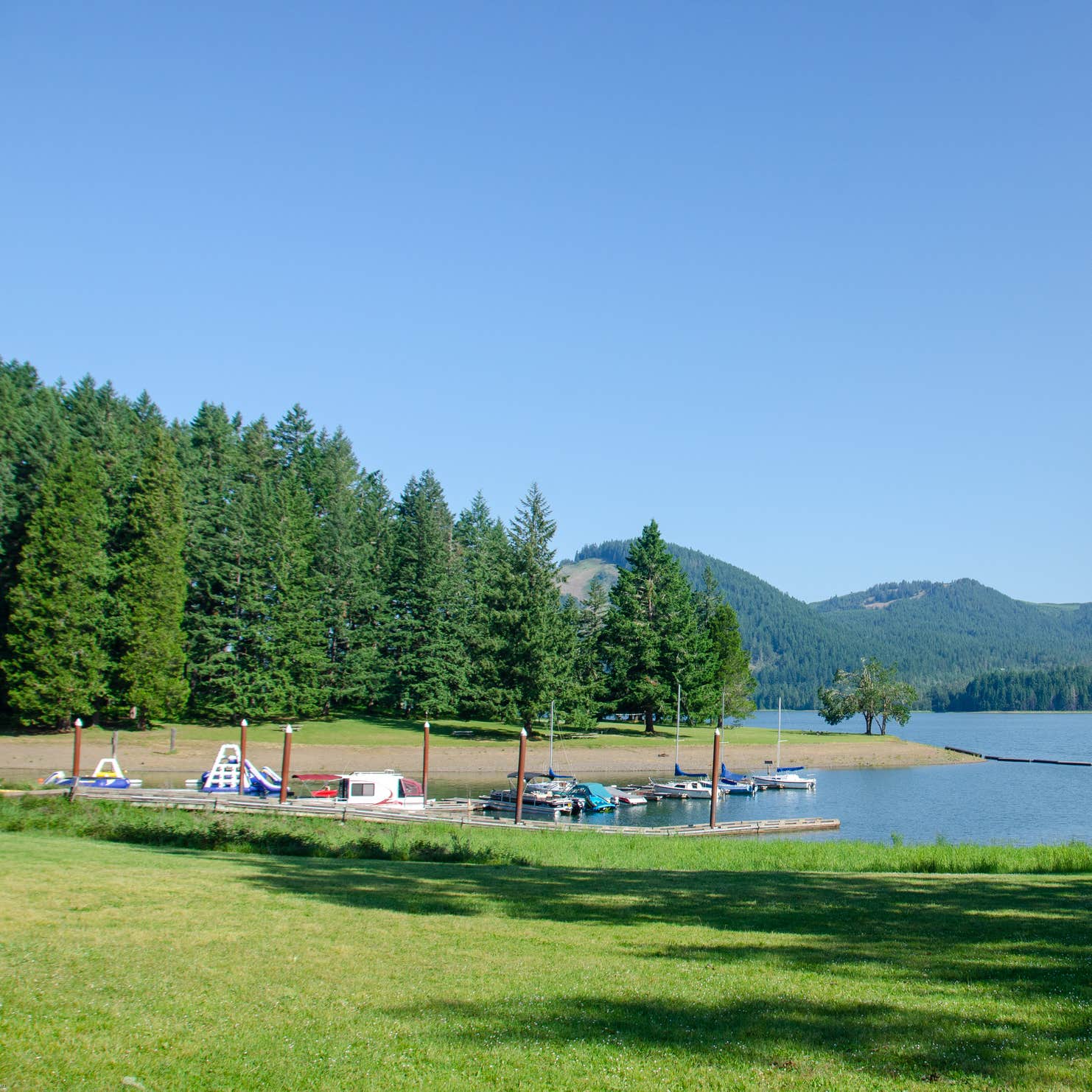 Baker Bay Campgrounds & Marina a Lane County Park Camping Dorena