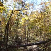Review photo of Giant City State Park Campground by Daniel  B., September 23, 2016