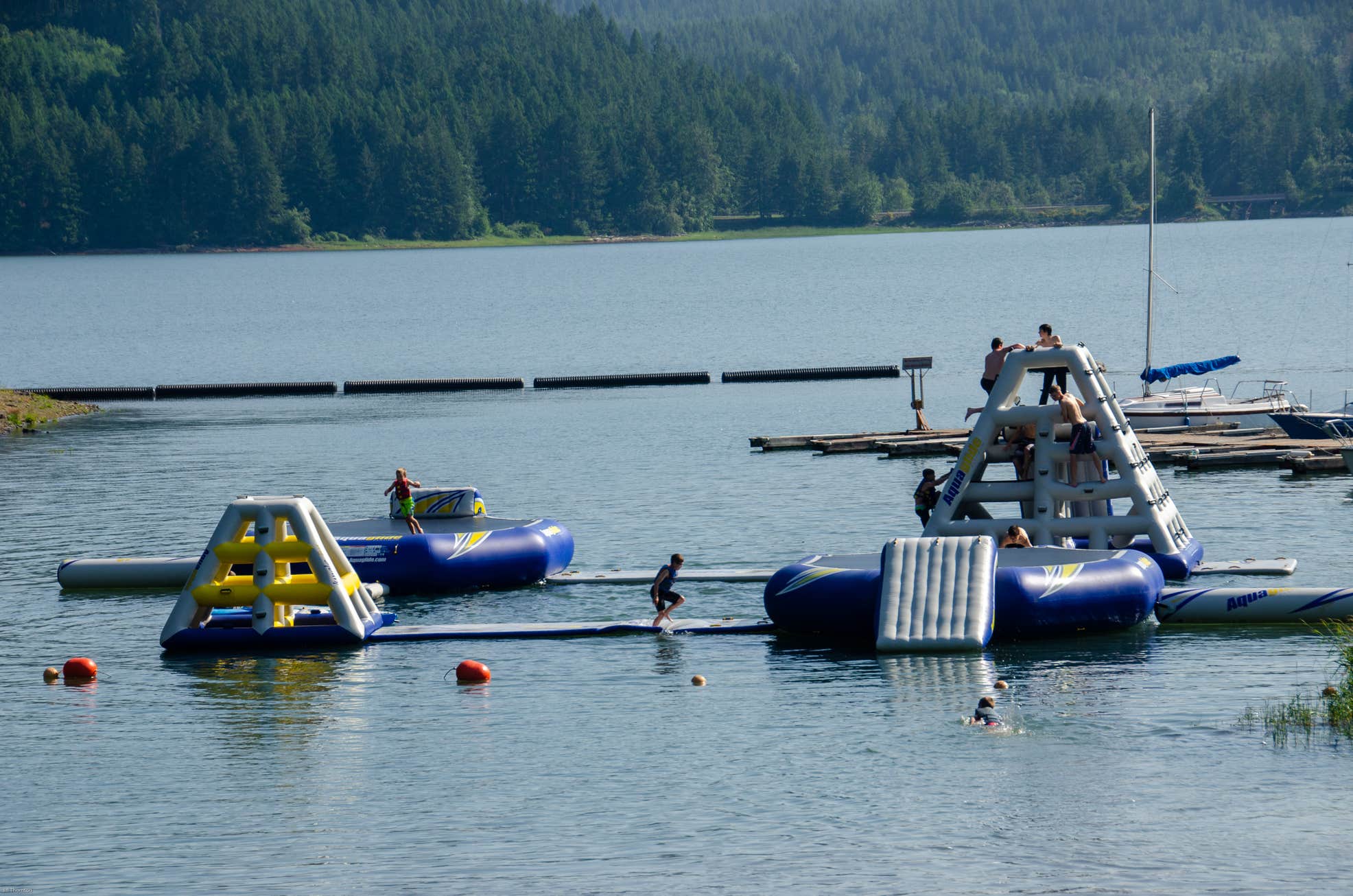 Baker Bay Campgrounds & Marina The Dyrt