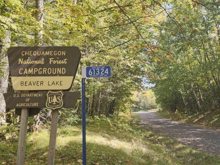 Camper submitted image from Chequamegon National Forest Beaver Lake Campground - 4