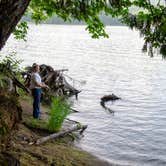 Review photo of Baker Bay Campgrounds & Marina - a Lane County Park by Jill T., August 2, 2019