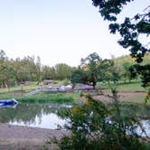 Review photo of Baker Bay Campgrounds & Marina - a Lane County Park by Jill T., August 2, 2019