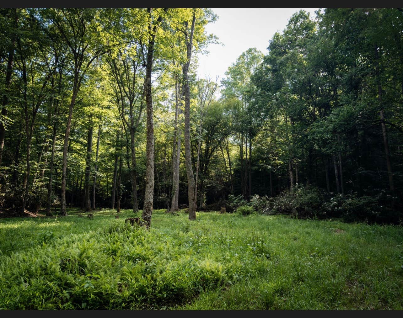 Camper submitted image from Vero Mountain - 2