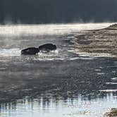 Review photo of Canyon Campground — Yellowstone National Park by Rod D., September 23, 2025