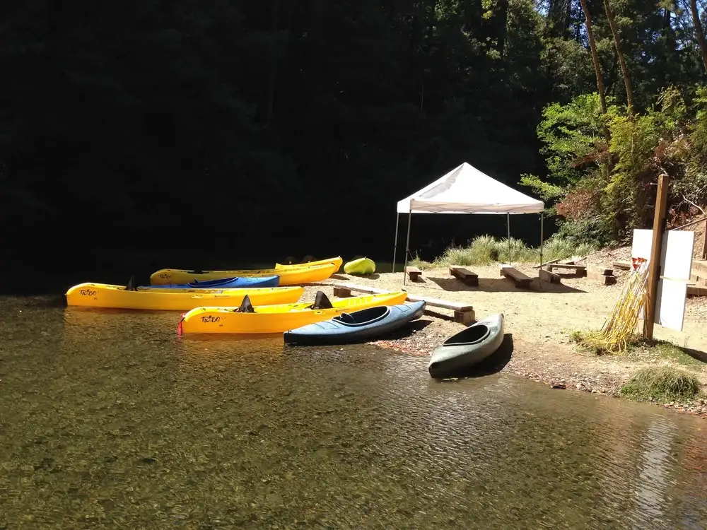 Camper-submitted photo at Camp Noyo near Sea Ranch, CA