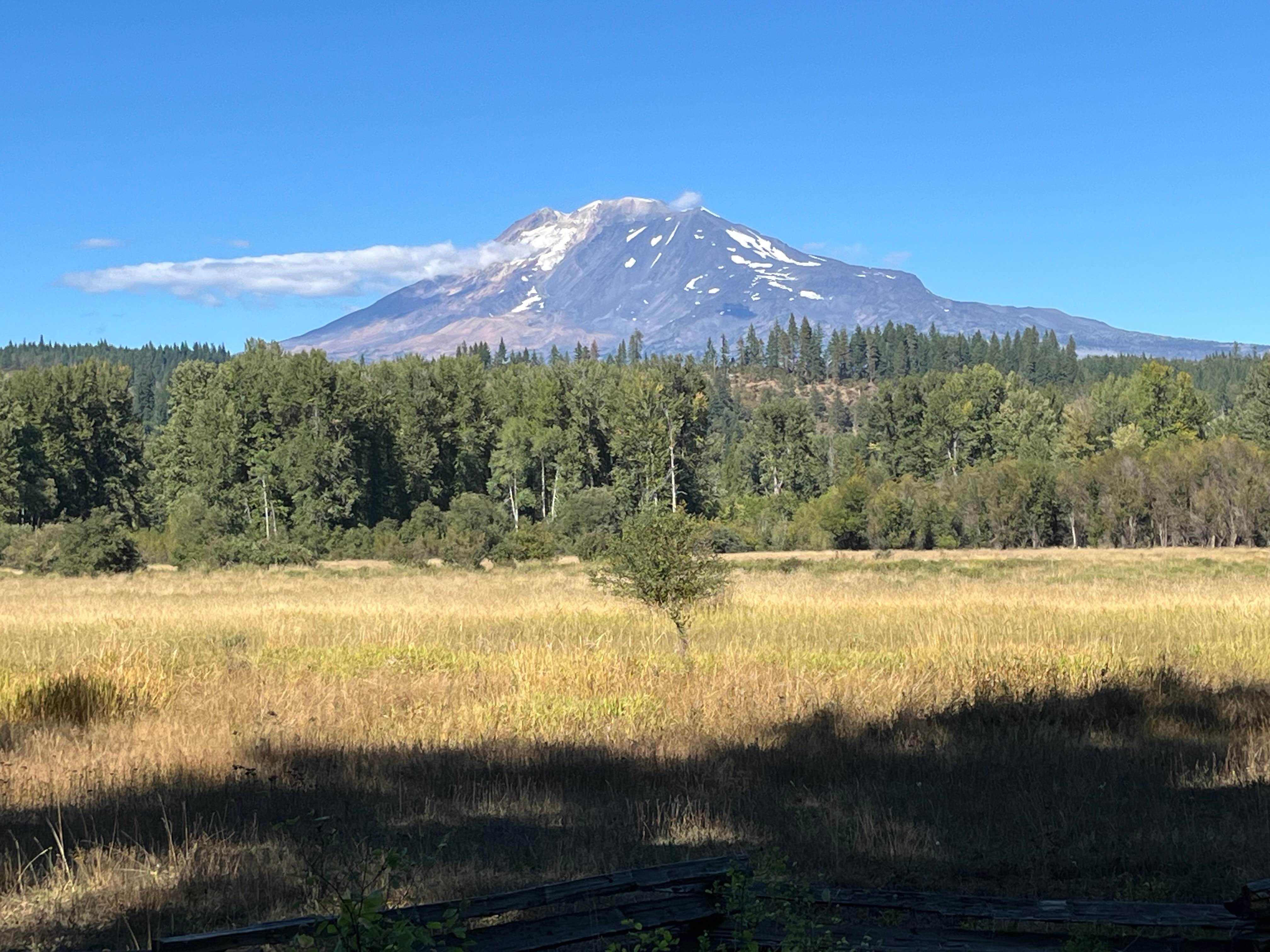 Camping near Peterson Prairie Cabin: Elk Meadows RV Park, Trout Lake, Washington