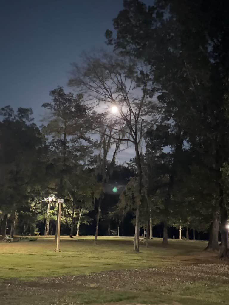 Camper-submitted photo at Saline Lake Campground near Winnfield, LA